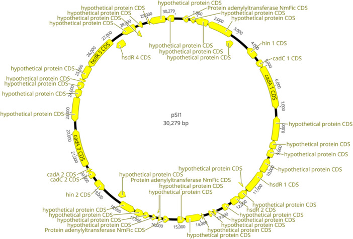 Figure B1