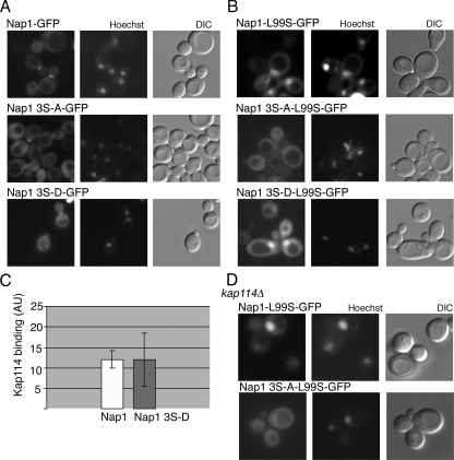 FIG. 7.