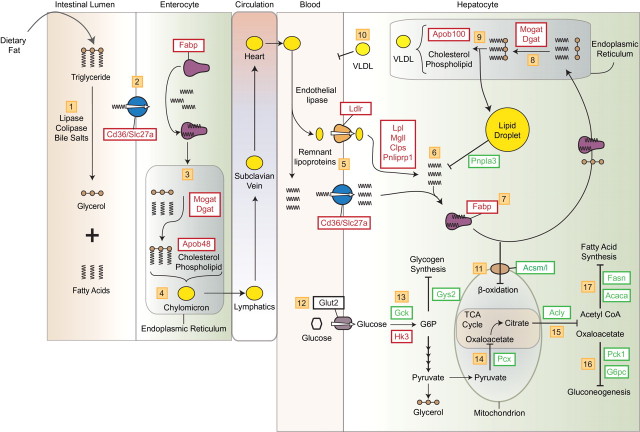 FIG. 3.