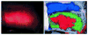 Fig. 14