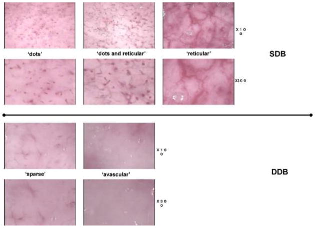 Fig. 11