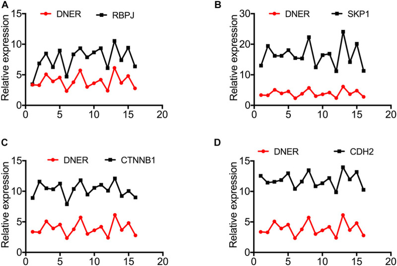 FIGURE 3