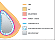 Figure 3)