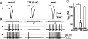Figure 10.