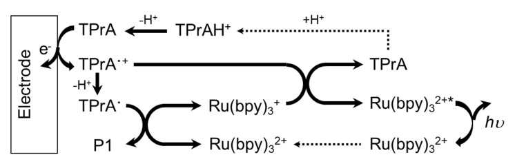 Scheme 2