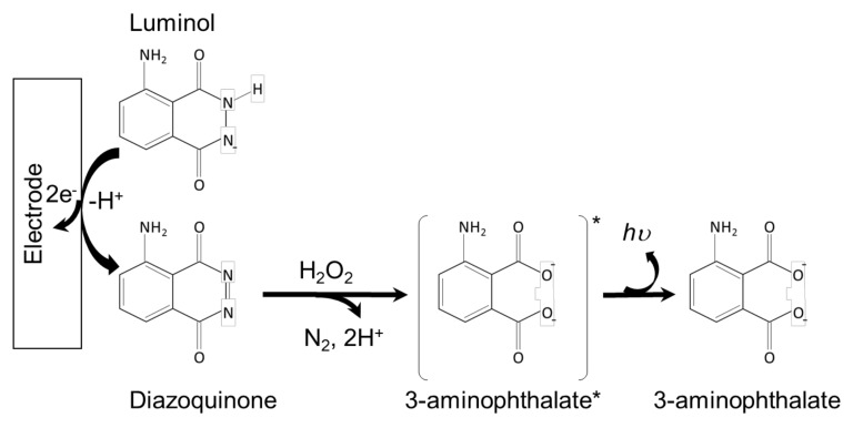 Scheme 3