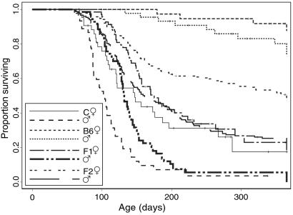 Fig 1.