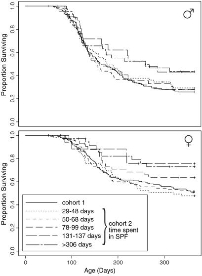 Fig 3.