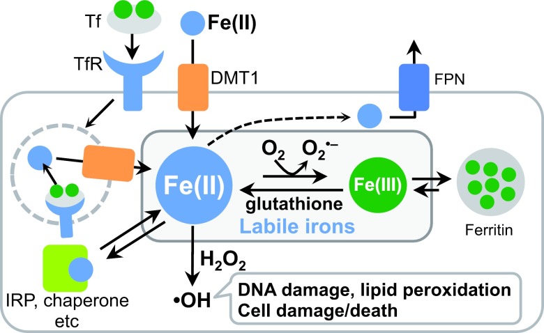 Fig. 1.