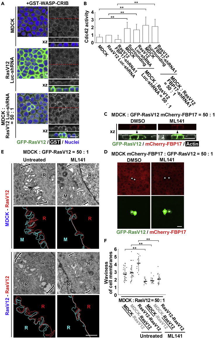 Figure 6