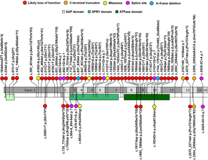 FIGURE 1