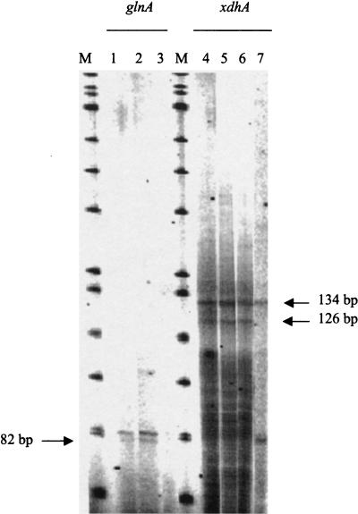 FIG. 8