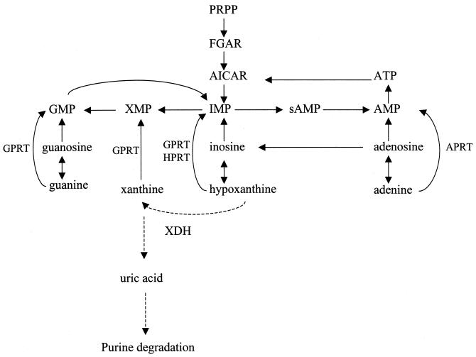 FIG. 1