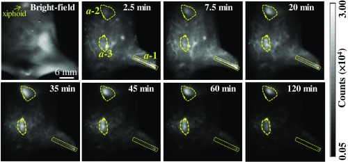 Fig. 10