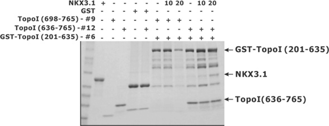 Figure 5