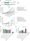 Figure 5. Low-dose PARPi administered concomitantly on an intermittent schedule with RP-3500 is more effective without additional toxicity in vivo. A, Combinations of RP-3500 with olaparib or niraparib were administered on the schedule shown with concomitant or sequential (PARPi first) weekly schedule. Tumor xenograft volume from SUM149PT (B) or Granta-519 (C) tumor-bearing mice. Mean ± SEM; N = 9 mice/group. Mice were treated orally with RP-3500 once daily for 3 days and B, Olaparib twice daily for 3 days; or C, Niraparib once daily for 3 days or 5 days at the doses indicated. D and E, Blood parameters measured on day 21 from Granta-519 tumor-bearing mice; mean ± SEM; N = 9 mice/group. Dashed lines indicate reference RBC range from female age- and strain-matched mice (Charles River). Statistical significance relative to vehicle control was established by one-way ANOVA with Fisher LSD test (GraphPad Prism v9). NS, not significant. *P < 0.05, **P < 0.01, ***P < 0.001, ****P < 0.0001.