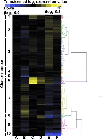 Fig. 2