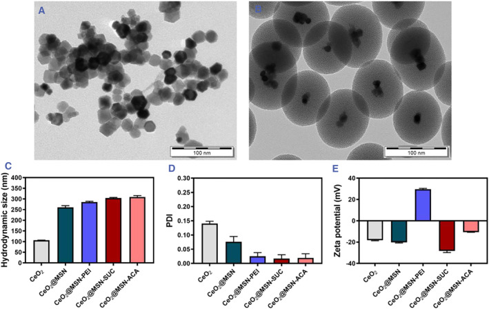 FIGURE 1