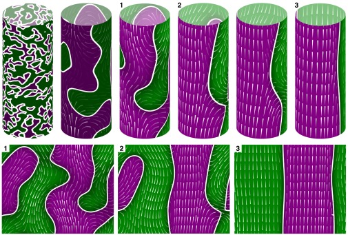 Fig. 4.