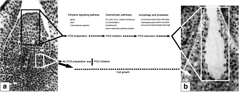 Fig. 10