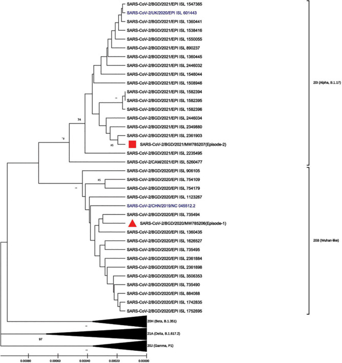 FIGURE 2