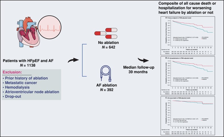 Graphical Abstract