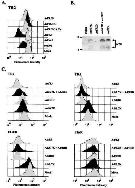 FIG. 7.