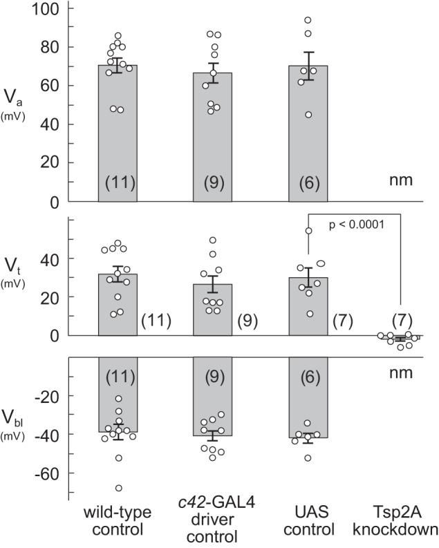 Fig. 8.