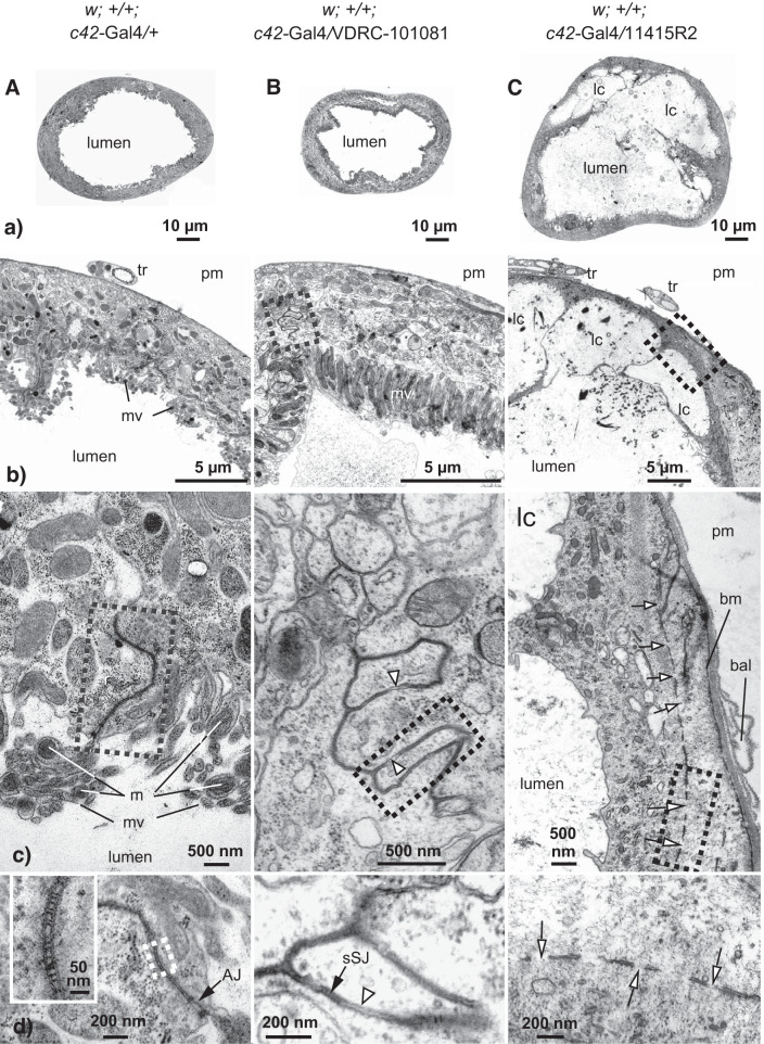 Fig. 4.