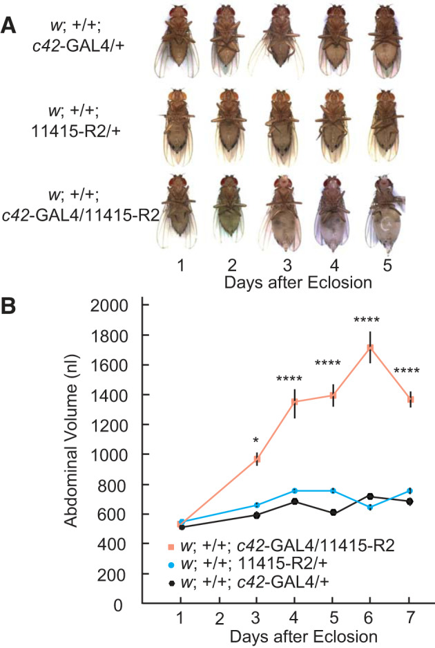 Fig. 10.