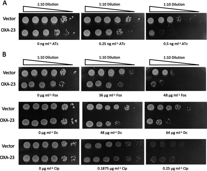 FIG 3