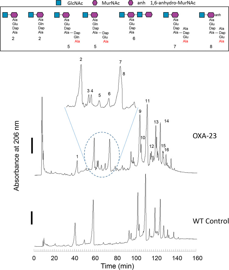 FIG 1