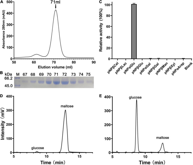 FIGURE 1