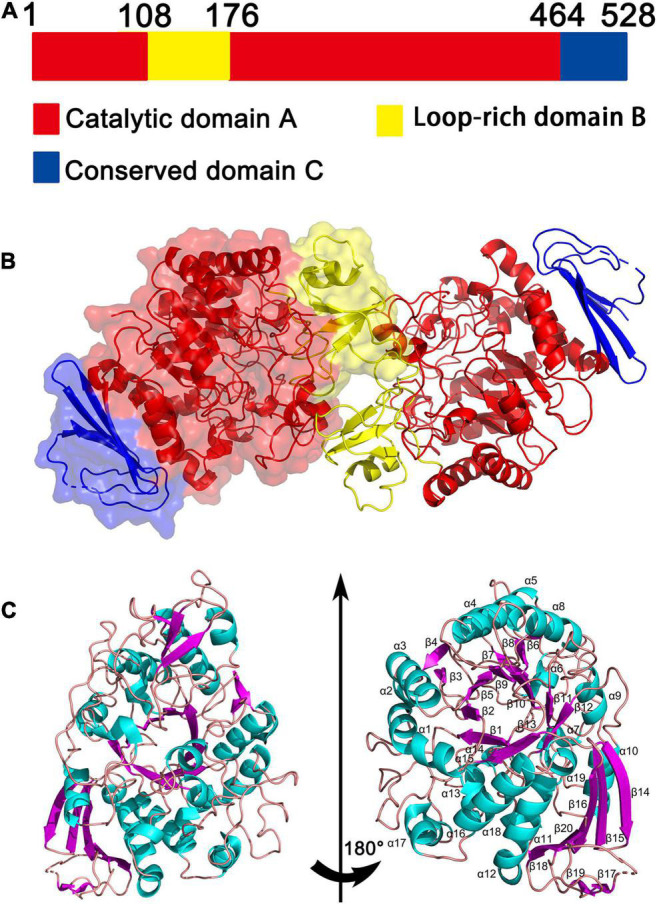 FIGURE 3