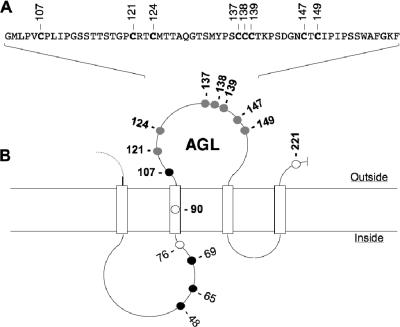 FIG. 1.