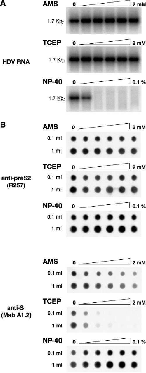 FIG. 8.