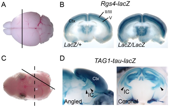 Figure 1.