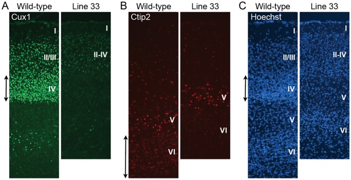 Figure 5.