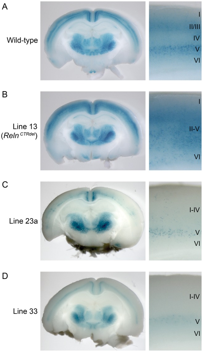 Figure 2.