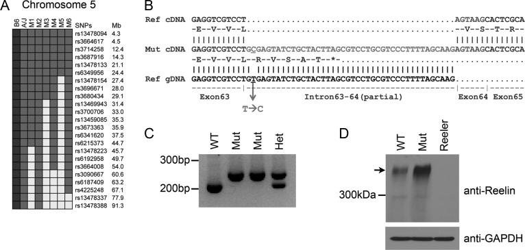 Figure 3.