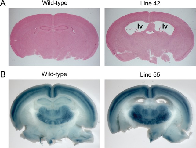 Figure 6.