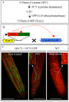 Figure 1—figure supplement 2.