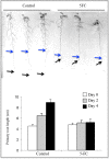 Figure 1—figure supplement 3.