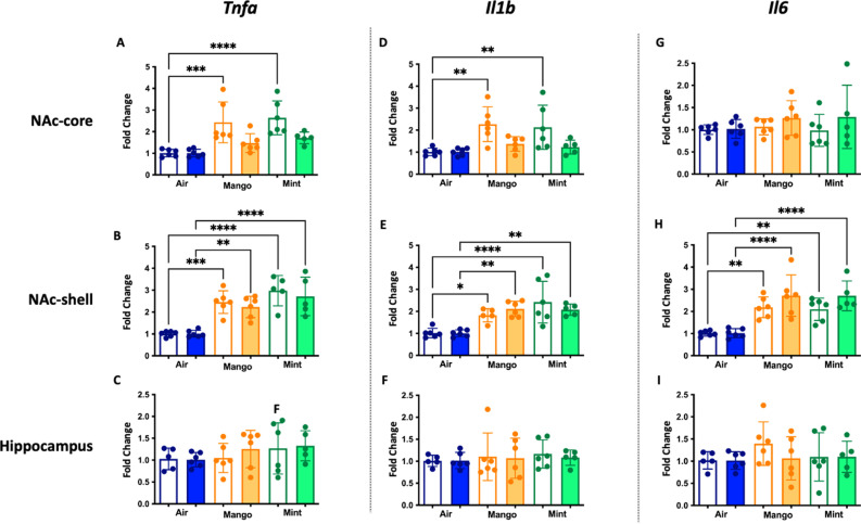 Figure 1—figure supplement 1.