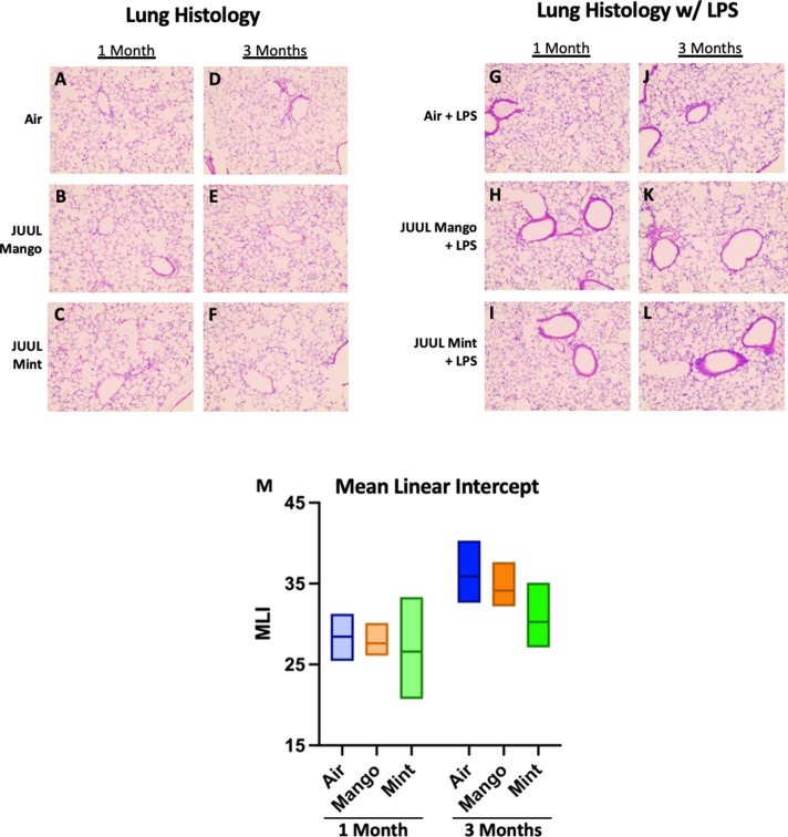 Appendix 1—figure 4.