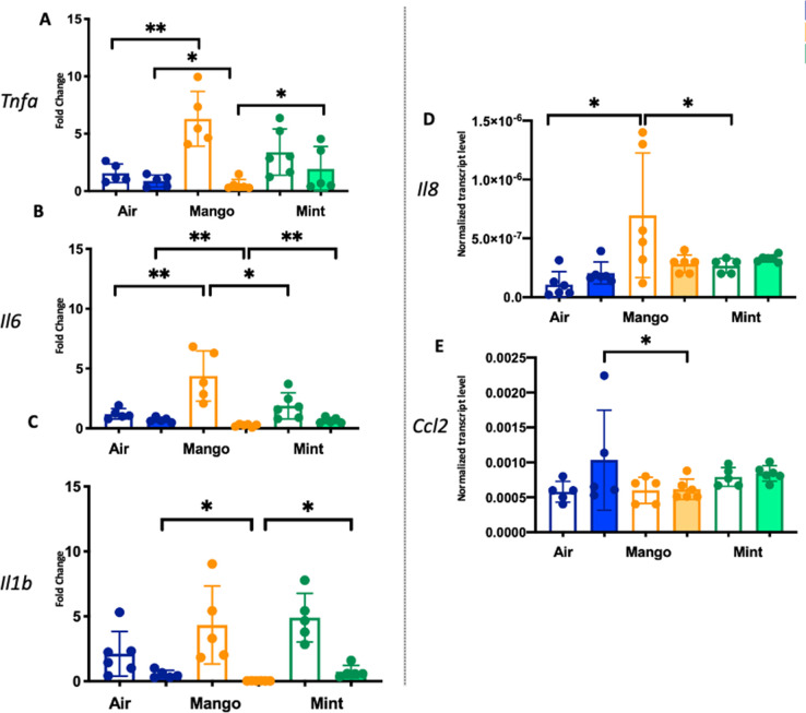 Figure 5—figure supplement 1.