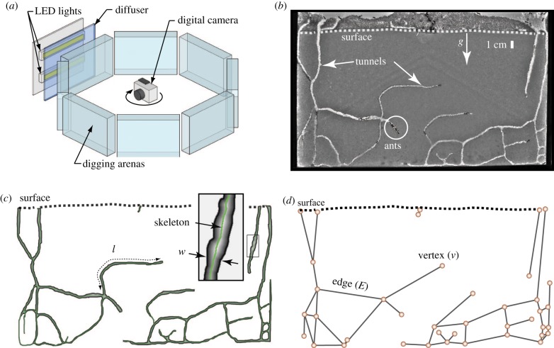 Figure 2.