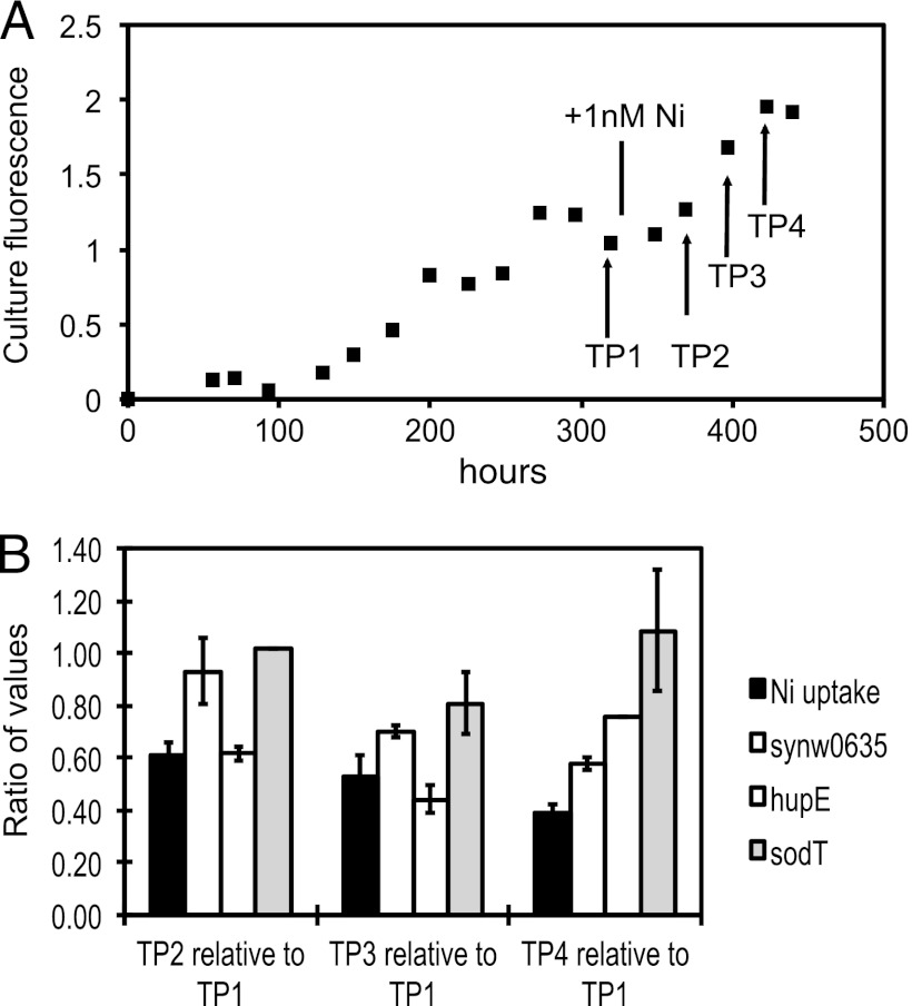 Fig 3