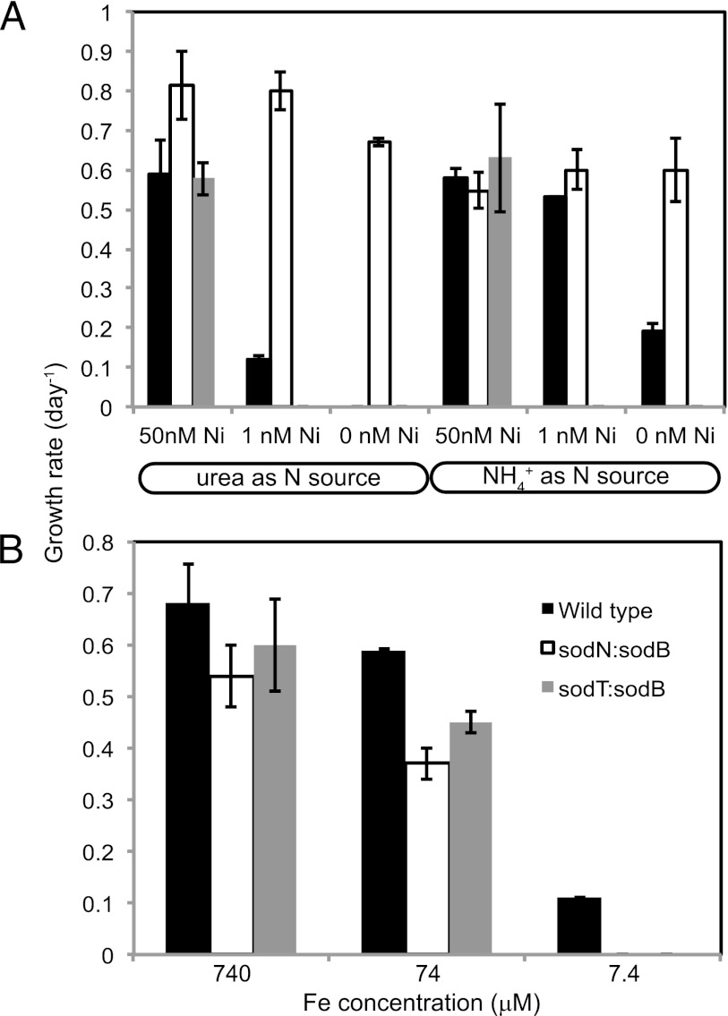 Fig 4