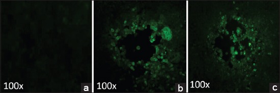 Figure-5